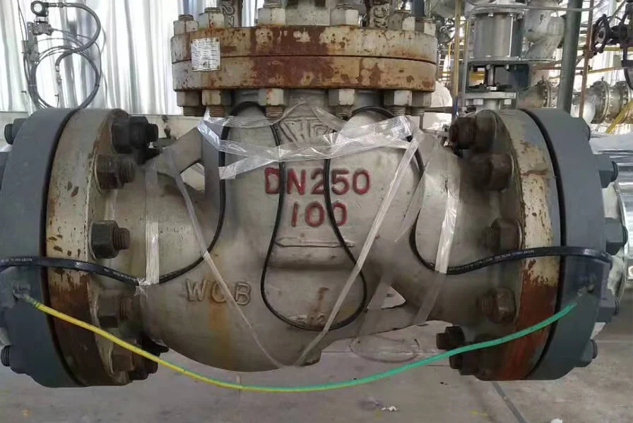 3000 T/Y Зеленое, эффективное и низкотоксичное гербицидное сырье и 3500 T/Y Химический промежуточный проект Внутренней Монголии Xinongji Science and Technology Co., Ltd.